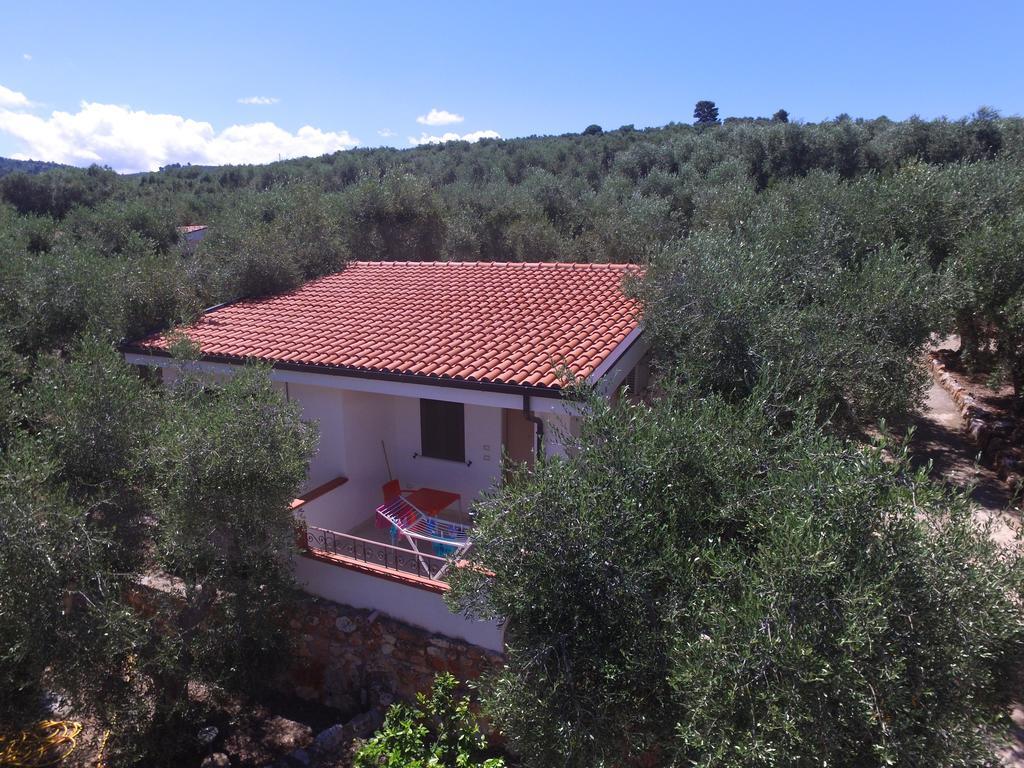 רודי גרגניקו Zagare Residence מראה חיצוני תמונה
